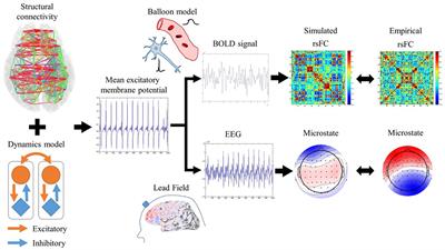 Evaluation of Resting Spatio-Temporal Dynamics of a Neural Mass Model Using Resting fMRI Connectivity and EEG Microstates